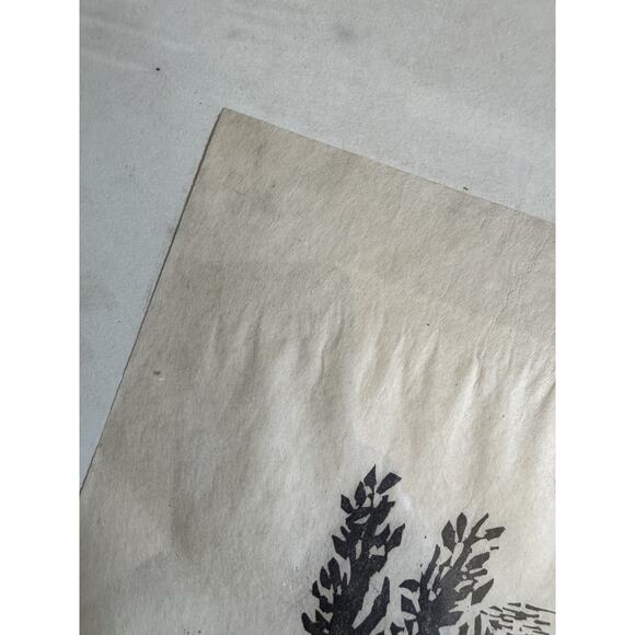 Vintage German Woodcut Print Saint Castulus Bavarian Folk Catholic Devotional - Picture 12 of 16